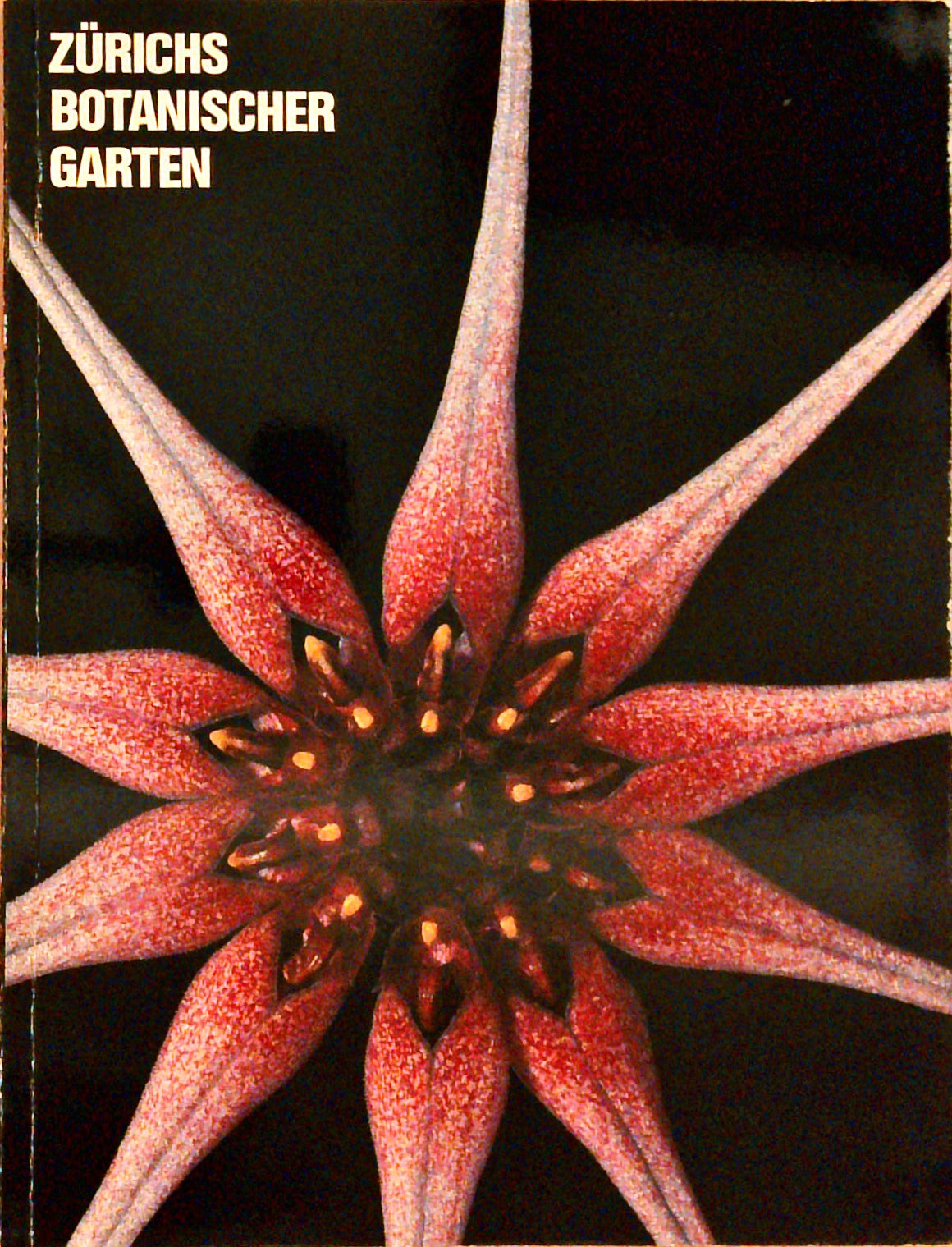 Zürichs Botanischer Garten
