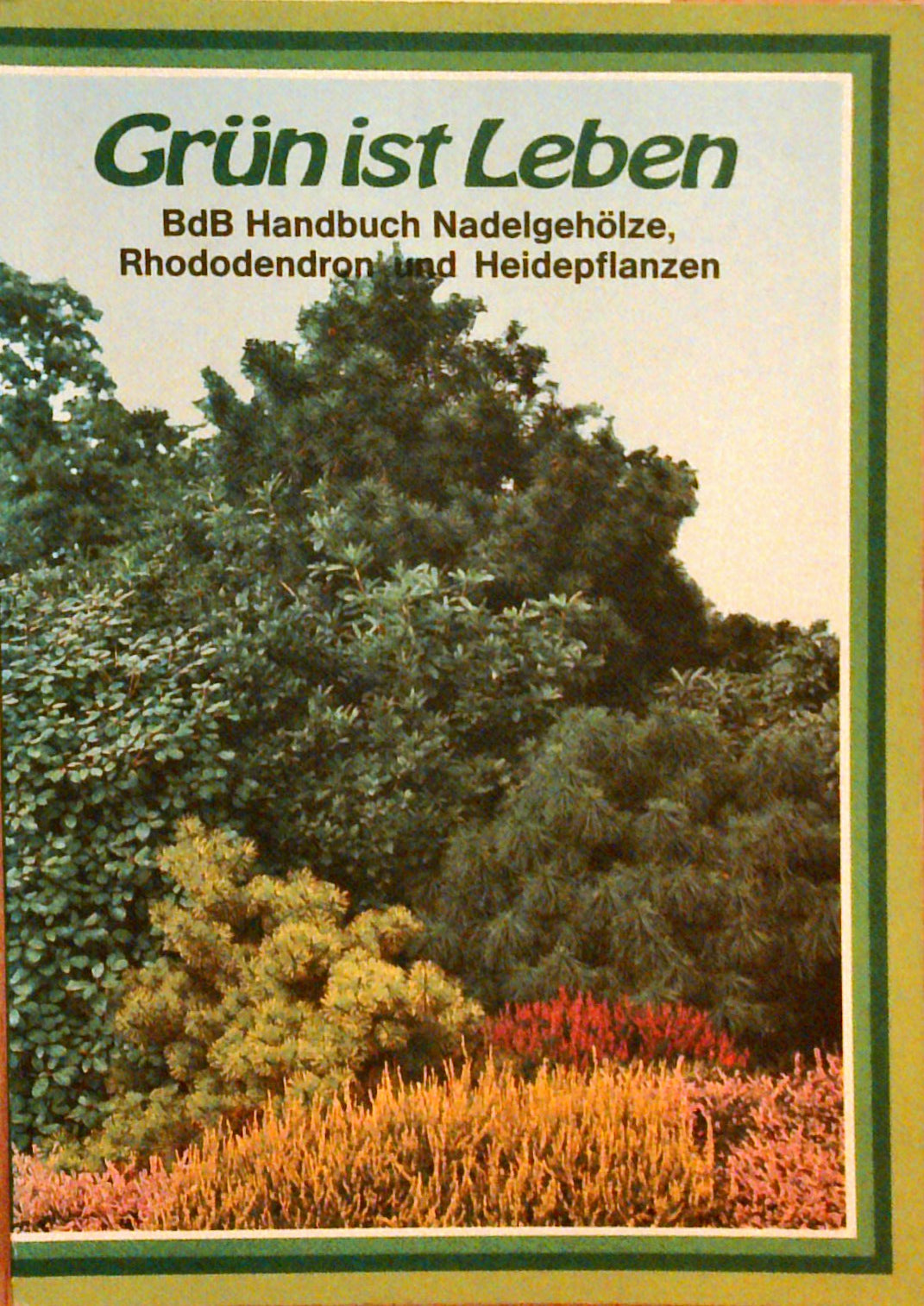 Grün ist Leben: BdB Handbuch Nadelgehölze, Rhododendron und Heidenpflanzen