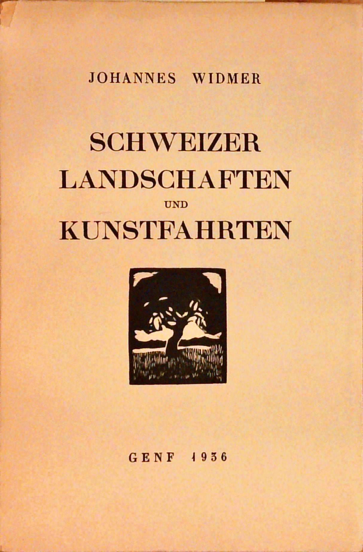Schweizer Landschaften und Kunstfahrten