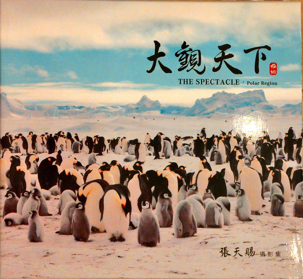 THE SPECTACLE Series : Polar Region