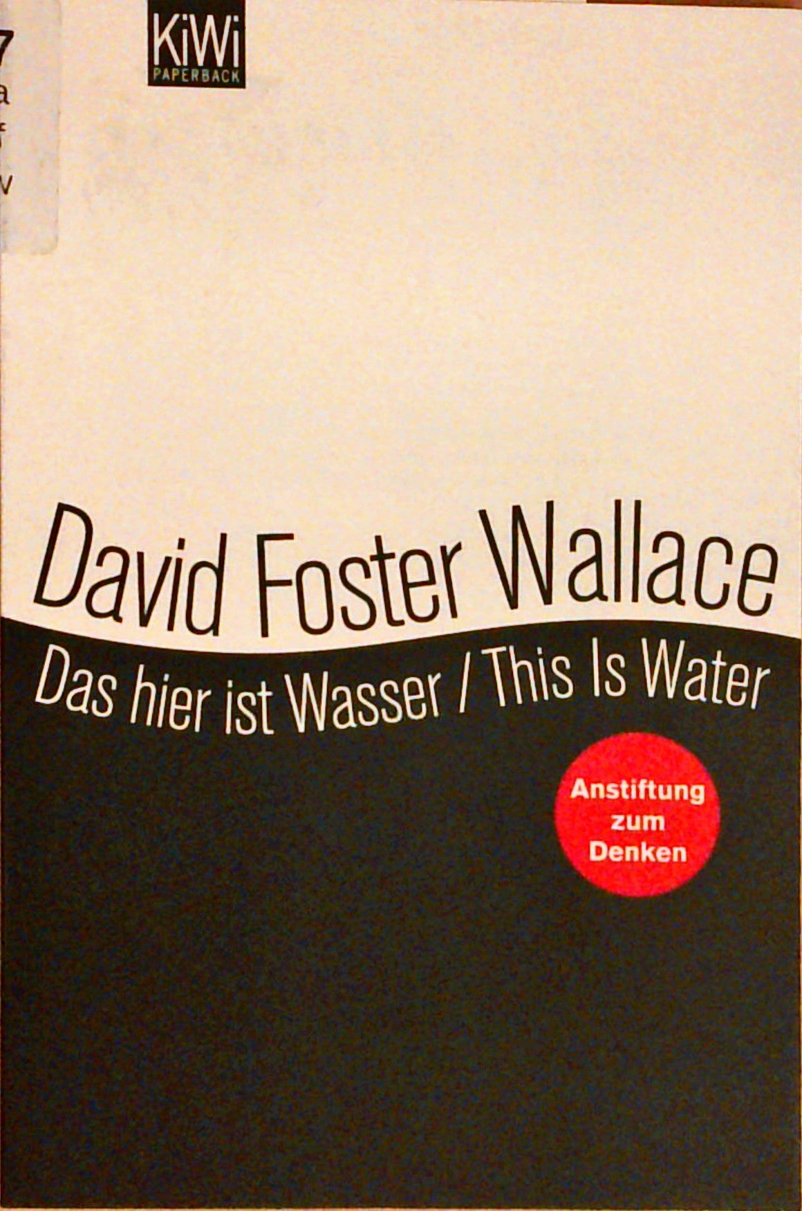 Das hier ist Wasser. Anstiftung zum Denken.