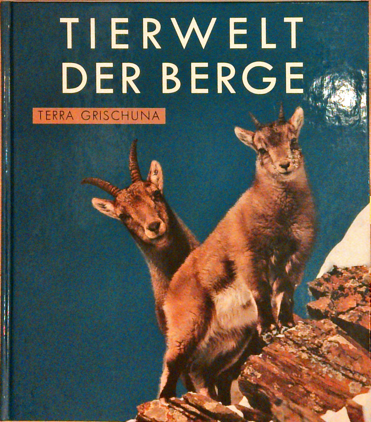 Terra Grischuna Bildband 11. Tierwelt der Berge
