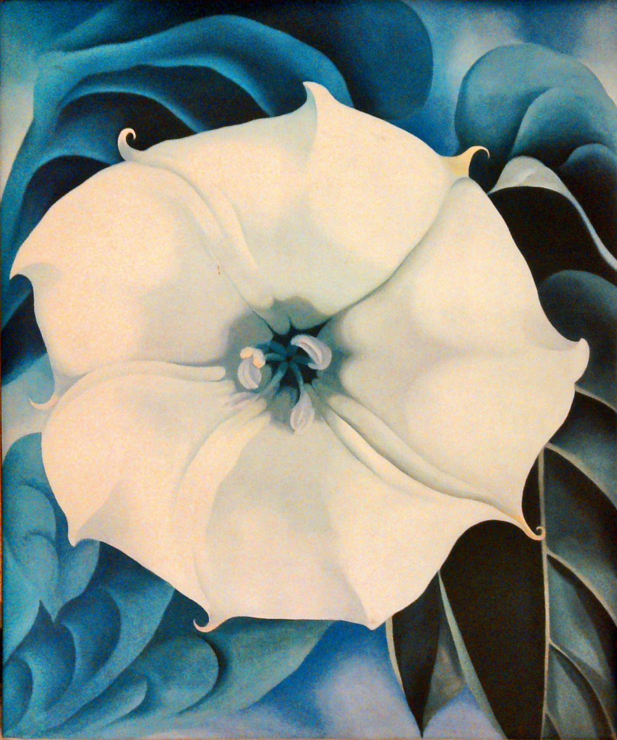 Georgia O'Keeffe: One Hundred Flowers