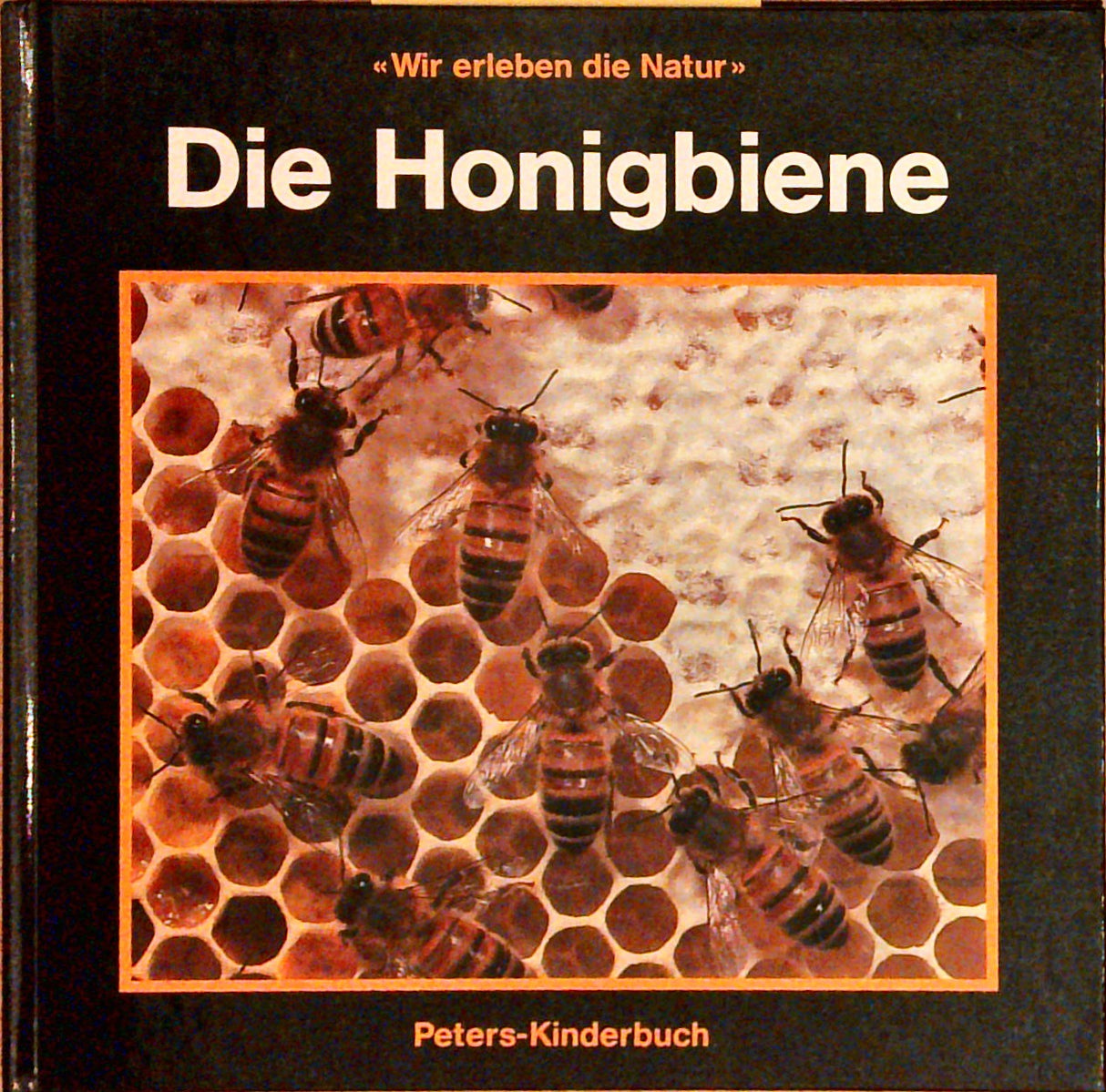 Wir erleben die Natur. Die Honigbiene