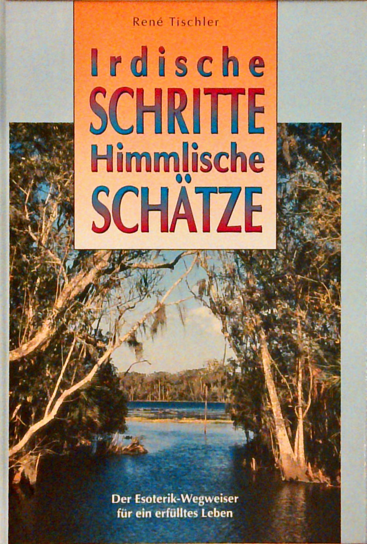 Irdische Schritte, himmlische Schätze - Der Esoterik-Wegweiser für ein erfülltes Leben