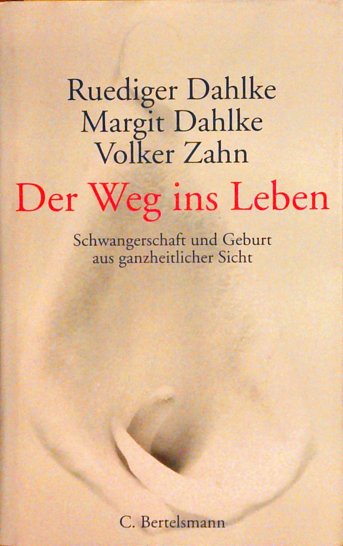 Der Weg ins Leben: Schwangerschaft und Geburt aus ganzheitlicher Sicht